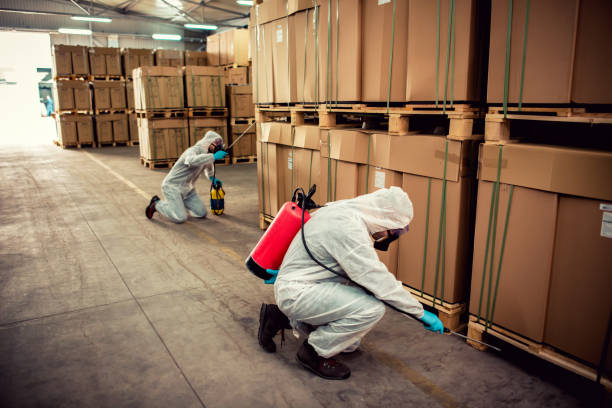 Best Wasp Removal Services  in Ferron, UT