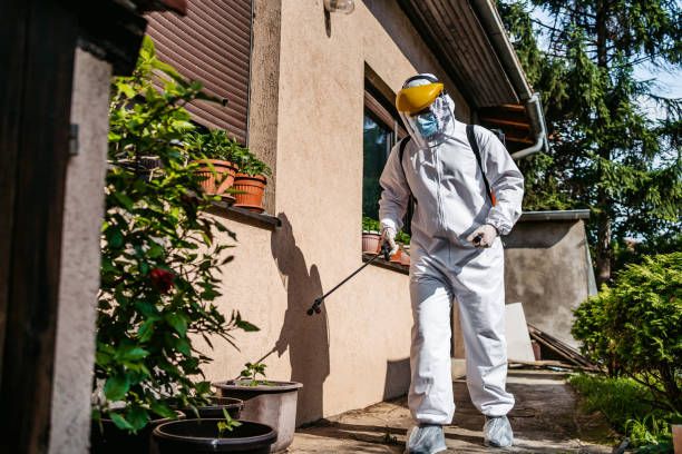 Flea Control Services in Ferron, UT
