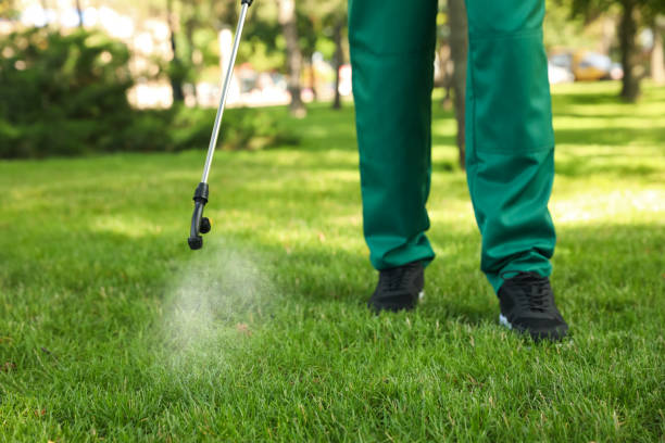 Best Pest Control Treatment  in Ferron, UT