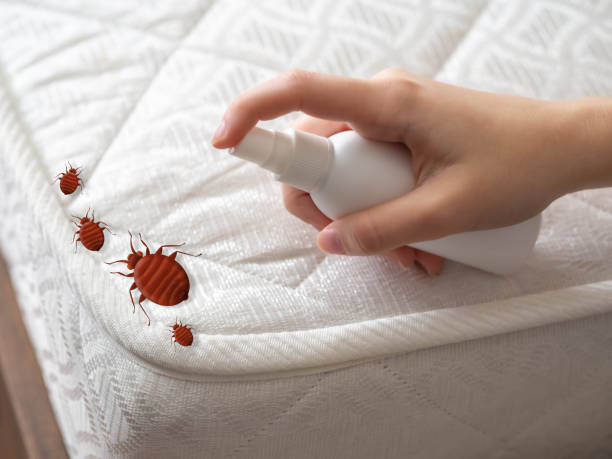 Best Best Pest Control Companies  in Ferron, UT