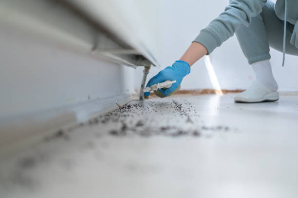 Best Pest Prevention Services  in Ferron, UT